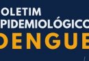 BOLETIM INFORMATICO ANUAL EPIDEMIOLÓGICO DE DENGUE DO MUNICÍPIO DE PLANURA- 2025