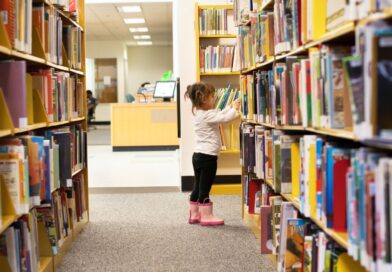 Tabela de controle de livros da biblioteca municipal “Avany de Castro Domingos”